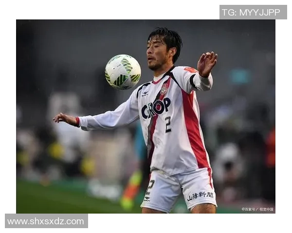 水户蜀葵迎战冈山绿雉竞彩002赛事分析与预测